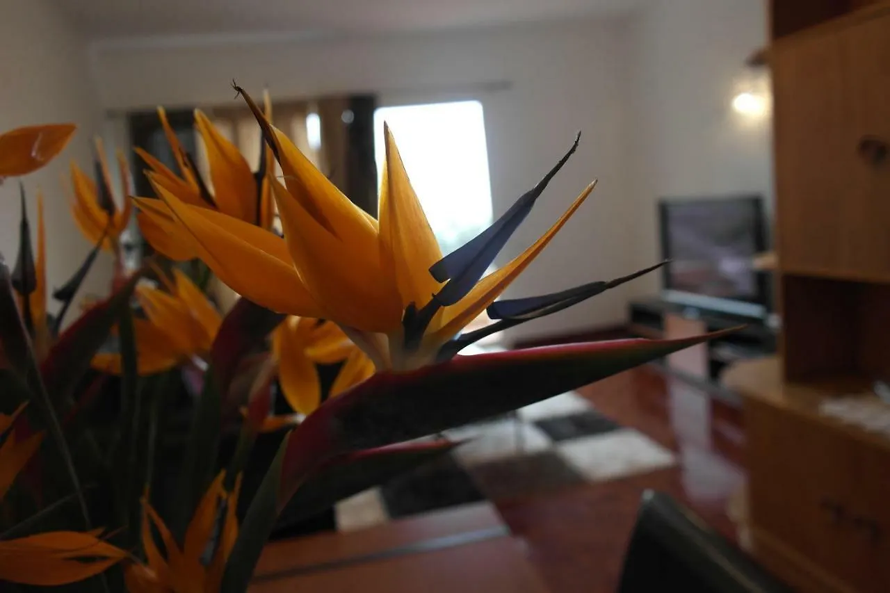 Inmaculado Apartment Funchal